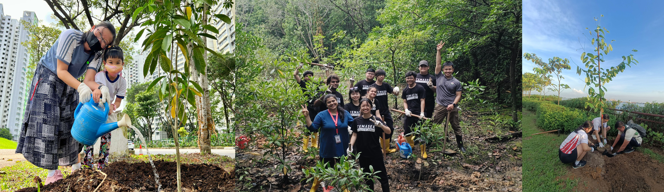 OMT tree planting sessions with the community